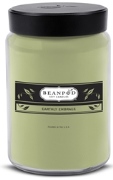 Beanpod Jar Candles Beanpod Jar Candles