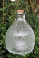 Glass Wasp Trap - with Wasp Design