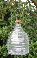 Glass Wasp Trap - with Hive Design