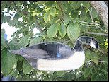 Stained Glass Goose